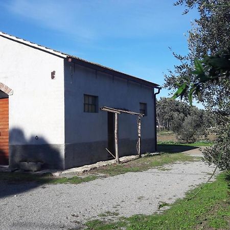 Agriturismo Monte Alzato 까팔비오 외부 사진