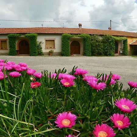 Agriturismo Monte Alzato 까팔비오 외부 사진