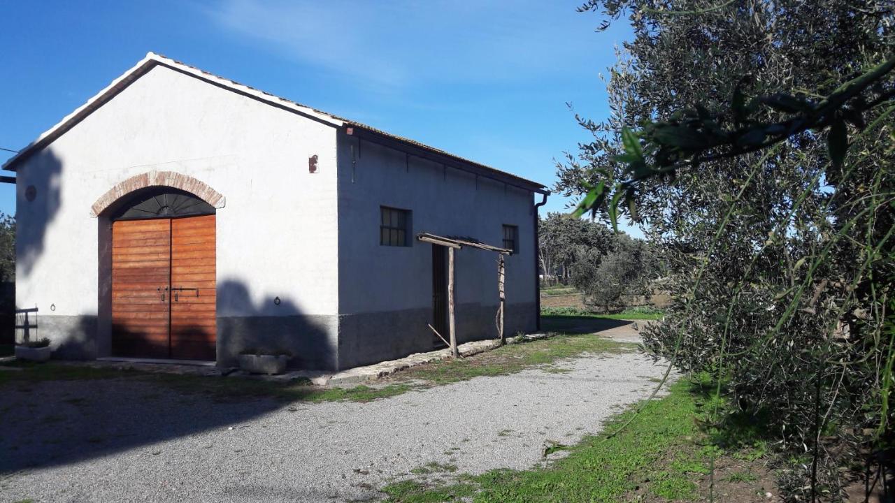 Agriturismo Monte Alzato 까팔비오 외부 사진