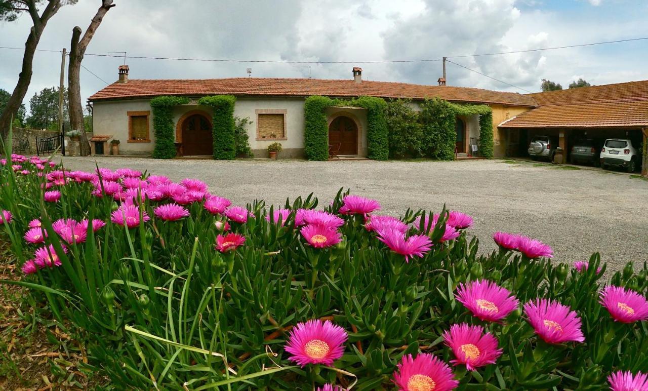 Agriturismo Monte Alzato 까팔비오 외부 사진