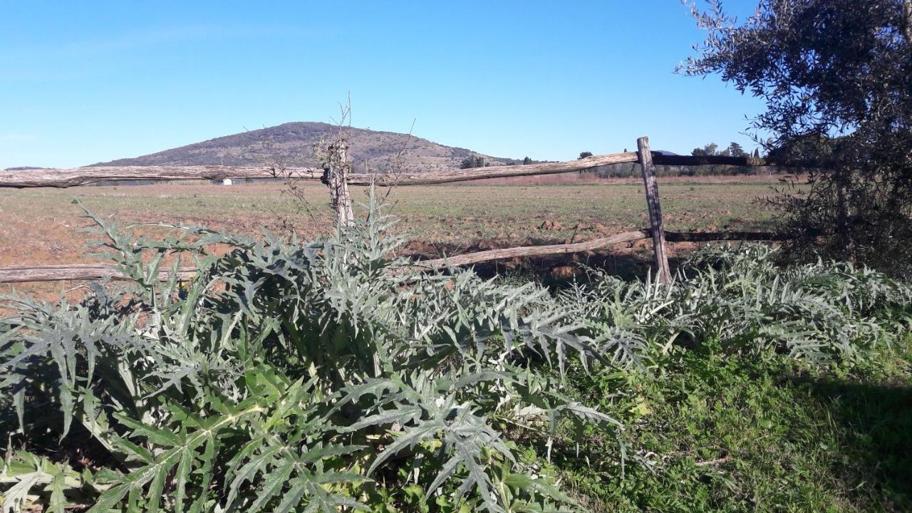 Agriturismo Monte Alzato 까팔비오 외부 사진
