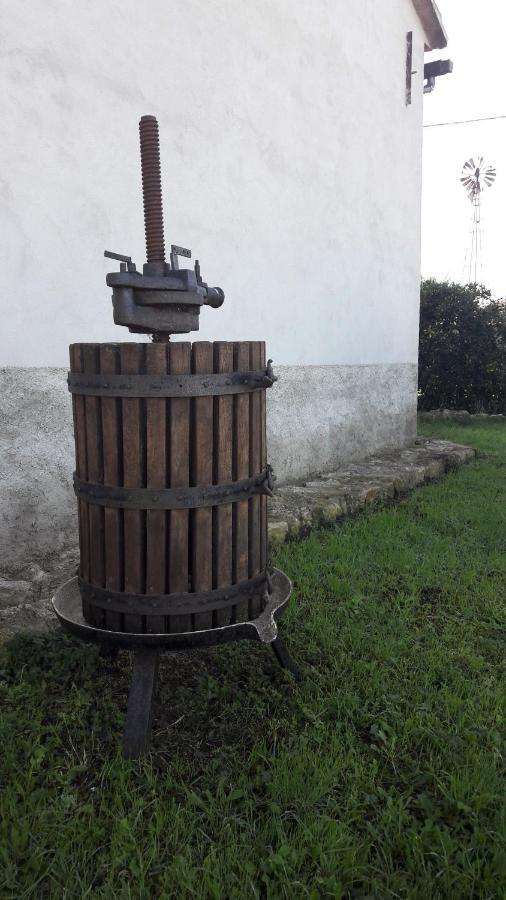 Agriturismo Monte Alzato 까팔비오 외부 사진