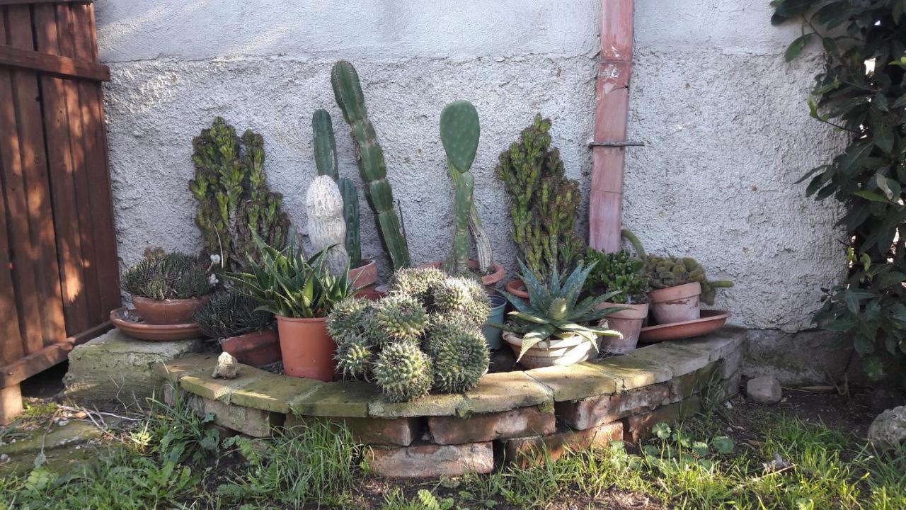 Agriturismo Monte Alzato 까팔비오 외부 사진