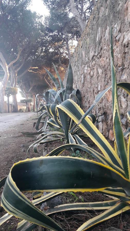 Agriturismo Monte Alzato 까팔비오 외부 사진