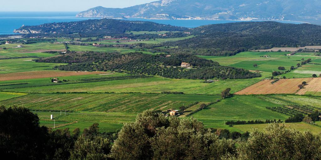 Agriturismo Monte Alzato 까팔비오 외부 사진